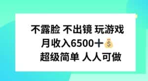 不露脸 不出境 玩游戏,月入6500 超级简单 人人可做-优优云创网