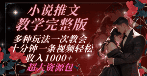 小说推文教学完整版 多种玩法一次教会 十分钟一条视频轻松收入1000+ 超大资源包-优优云创网
