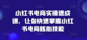 小红书电商实操速成课,让你快速掌握小红书电商核心技能-优优云创网