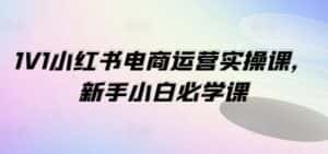 1V1小红书电商运营实操课,新手小白必学课-优优云创网