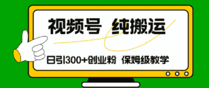 (11827期)视频号纯搬运日引流300+创业粉,日入4000+-优优云创网
