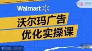 沃尔玛广告优化实操课,广告报告实操讲解,广告如何提高转化和ROAS等-优优云创网