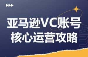 亚马逊VC账号核心玩法解析,实战经验拆解产品模块运营技巧,提升店铺GMV,有效提升运营利润-优优云创网