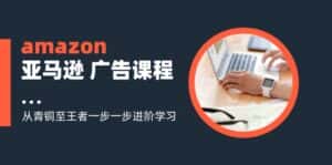 amazon亚马逊广告课程:从青铜至王者一步一步进阶学习(16节)-优优云创网