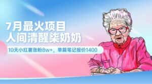 （11861期）7月最火项目，人间清醒柒奶奶，10天小红薯涨粉8w+，单篇笔记报价1400.-优优云创网