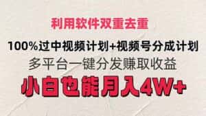 (11862期)利用软件双重去重,100%过中视频+视频号分成计划小白也可以月入4W+-优优云创网