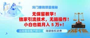 (11864期)冷门赚钱项目无保留教学!独家引流技术,无脑操作!小白也能月入5万+!-优优云创网