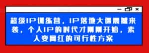 超级IP训练营,IP落地大课震撼来袭,个人IP的时代才刚刚开始,素人变网红的可行性方案-优优云创网