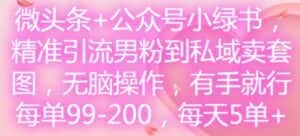 微头条+公众号小绿书，精准引流男粉到私域卖套图，无脑操作，有手就行，每单99-200，每天5单-优优云创网