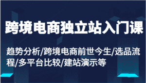 跨境电商独立站入门课:趋势分析/跨境电商前世今生/选品流程/多平台比较/建站演示等-优优云创网