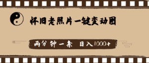 (11872期)怀旧老照片,AI一键变动图,两分钟一条,日入1000+-优优云创网