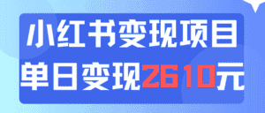 (11885期)利用小红书卖资料单日引流150人当日变现2610元小白可实操(教程+资料)-优优云创网