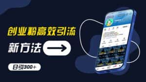 （11890期）创业粉高效引流，抖音工具号玩法，日引300+，不要成为学习高手，要成为…-优优云创网
