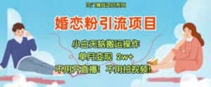 小红书婚恋粉引流,不用开直播,不用拍视频,不用做交付-优优云创网