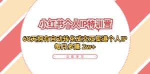 小红书个人IP陪跑营:两个月打造自动转化成交的多渠道个人IP,每月收入2w+(30节)-优优云创网