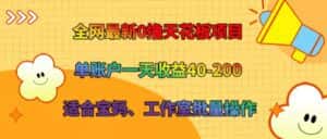 全网最新0撸天花板项目 单账户一天收益40-200 适合宝妈、工作室批量操作-优优云创网