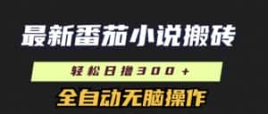 (11904期)最新番茄小说搬砖,日撸300+!全自动操作,可矩阵放大-优优云创网