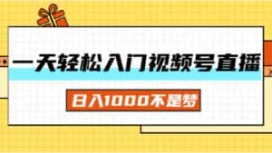 (11906期)一天入门视频号直播带货,日入1000不是梦-优优云创网