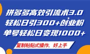 (11917期)拼多多店铺引流技术3.0,日引300+付费创业粉,单号轻松日变现1000+-优优云创网