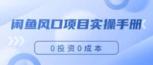 （11923期）闲鱼风口项目实操手册，0投资0成本，让你做到，月入过万，新手可做-优优云创网