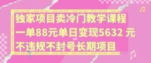 独家项目卖冷门教学课程一单88元单日变现5632元违规不封号长期项目-优优云创网