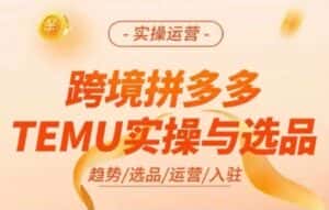 跨境拼多多TEMU实操与选品，多多temu跨境选品运营实操-优优云创网