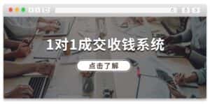 1对1成交收钱系统，全网130万粉丝，十年专注于引流和成交！-优优云创网