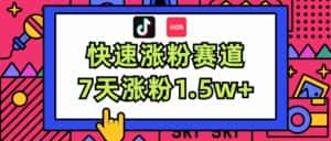 （11949期）涨粉超快蓝海赛道！轻松伪原创，7天涨粉1.5w+-优优云创网