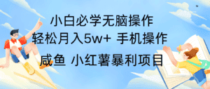 全网首发2024最暴利手机操作项目，简单无脑操作，每单利润最少500+-优优云创网