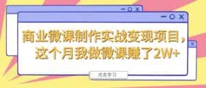 商业微课制作实战变现项目,这个月我做微课赚了2W+-优优云创网