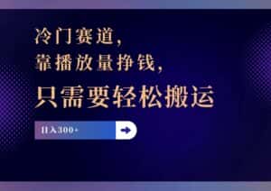(11965期)冷门赛道,靠播放量挣钱,只需要轻松搬运,日赚300+-优优云创网