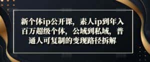 新个体ip公开课,素人ip到年入百万超级个体,公域到私域,普通人可复制的变现路径拆解-优优云创网
