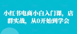 小红书电商小白入门课,店群实战,从0开始到学会-优优云创网