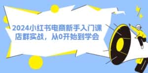 2024小红书电商新手入门课,店群实战,从0开始到学会(31节)-优优云创网
