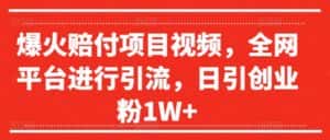 爆火赔付项目视频，全网平台进行引流，日引创业粉1W+-优优云创网