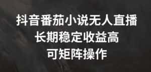 抖音番茄小说无人直播，长期稳定收益高，可矩阵操作-优优云创网