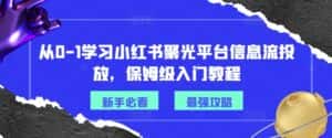 从0-1学习小红书聚光平台信息流投放，保姆级入门教程-优优云创网