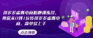 拼多多虚拟电商陪跑训练营,教你从0到1玩转拼多多虚拟电商,简单易上手(更新)-优优云创网