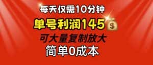 （12027期）每天仅需10分钟，单号利润145 可复制放大 简单0成本-优优云创网