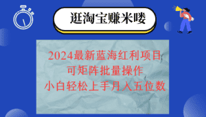 (12033期)2024淘宝蓝海红利项目,无脑搬运操作简单,小白轻松月入五位数,可矩阵…-优优云创网