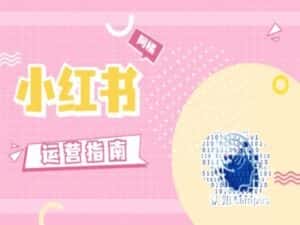 小红书运营指南,没有套路,全是经验-优优云创网