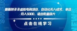 最新拼多多虚拟电商项目,自动化无人成交,单店月入3000,适合批量放大-优优云创网