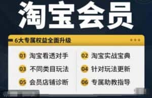 淘宝会员【淘宝所有课程，全面分析对手】，初级到高手全系实战宝典-优优云创网