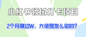 通过小红书领域打卡项目2个月赚10W,大佬是怎么做的?-优优云创网