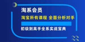 （12055期）淘系会员【淘宝所有课程，全面分析对手】，初级到高手全系实战宝典-优优云创网