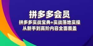 （12056期）拼多多 会员，拼多多实战宝典+实战落地实操，从新手到高阶内容全面覆盖-优优云创网