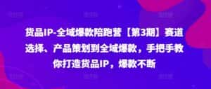 货品IP全域爆款陪跑营【第3期】赛道选择、产品策划到全域爆款,手把手教你打造货品IP,爆款不断-优优云创网
