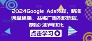 2024Google Ads教程,精准询盘秘籍,谷歌广告投放流程,数据分析与优化-优优云创网