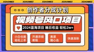 （12084期）微信视频号大风口项目 轻松月入2w+ 多赛道选择，可矩阵，玩法简单轻松上手-优优云创网
