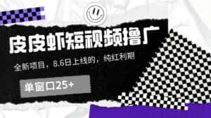 皮皮虾短视频撸广，单窗口收益25+！-优优云创网
